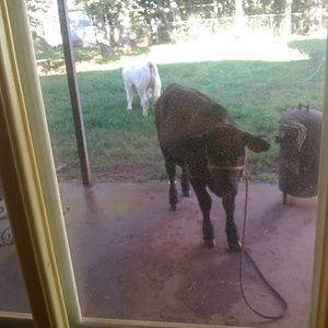 Meet your Posher, Karla